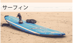 サーフィン