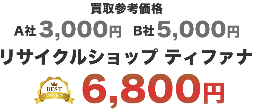 LEGO(レゴ) ファンズワース邸/21009