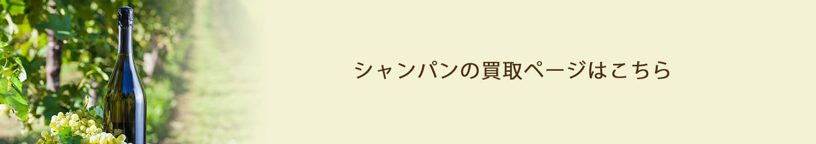 シャンパンの買取ページはこちら